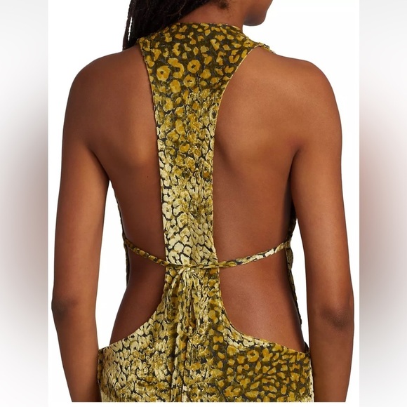 Adriana Iglesias Paris Velvet Leopard-Print Maxi Dress - Picture 3 of 12